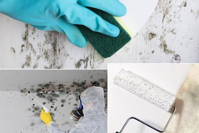 Posa tappezziere in carta e viniliche - A.M. Decorzioni